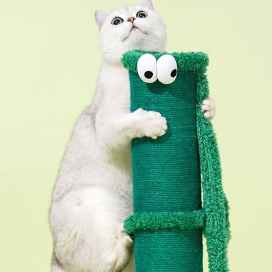 猫 おもちゃ サボテンハウス・キャットタワー