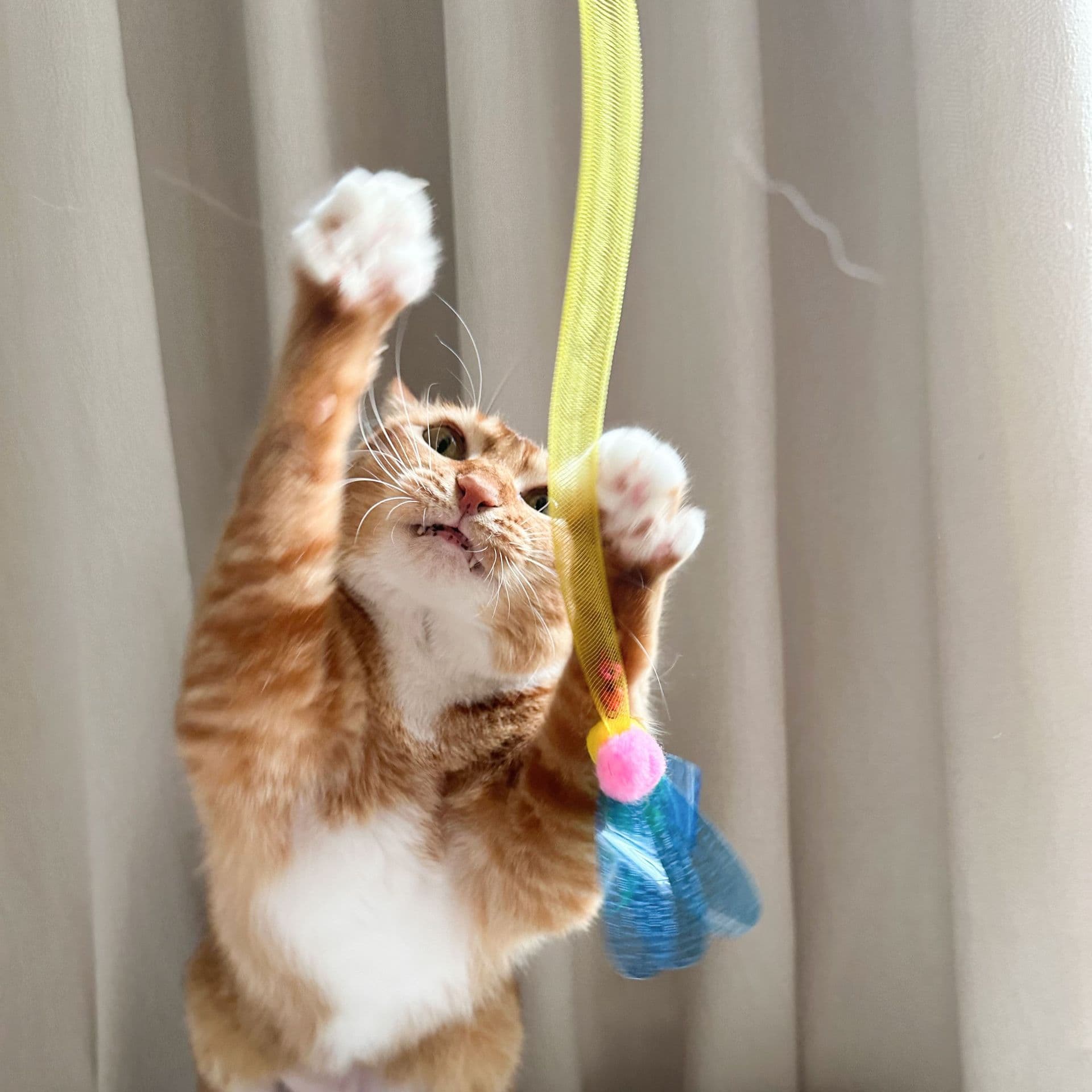 猫 おもちゃ ふわもこリボン付き伸縮じゃらし