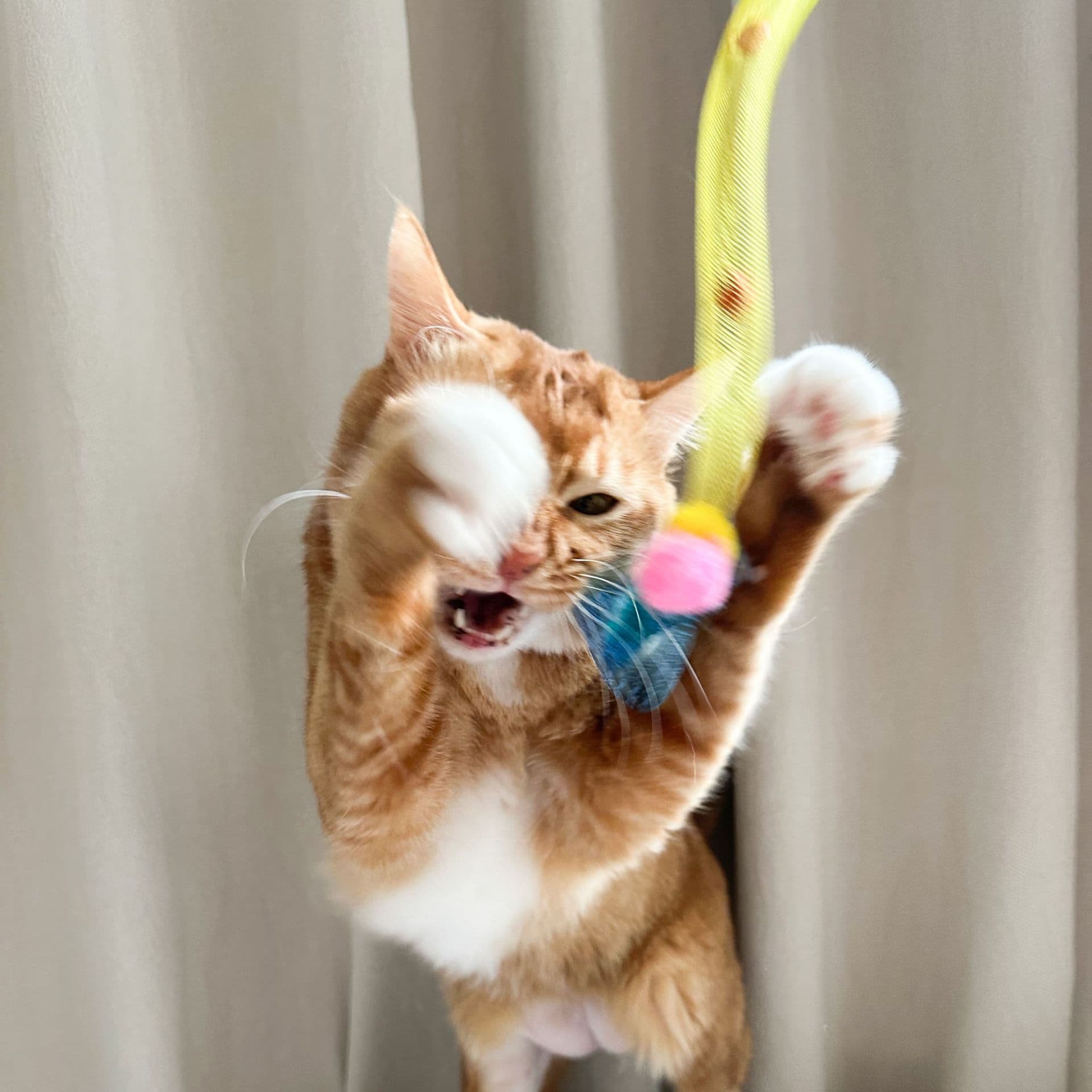 猫 おもちゃ ふわもこリボン付き伸縮じゃらし