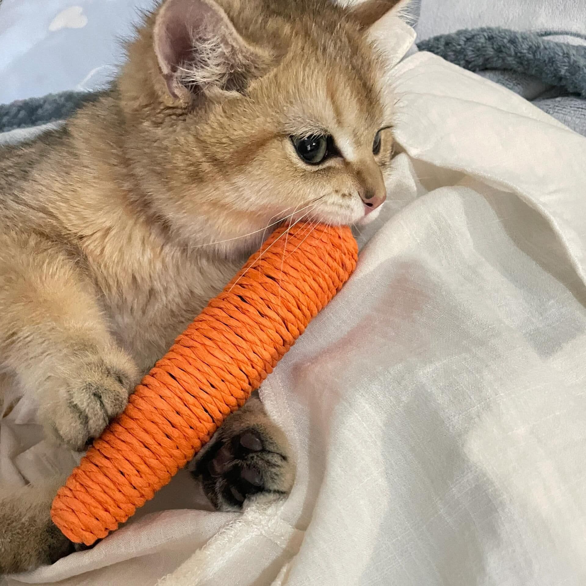 猫 おもちゃ にんじんの誘惑 猫じゃらし