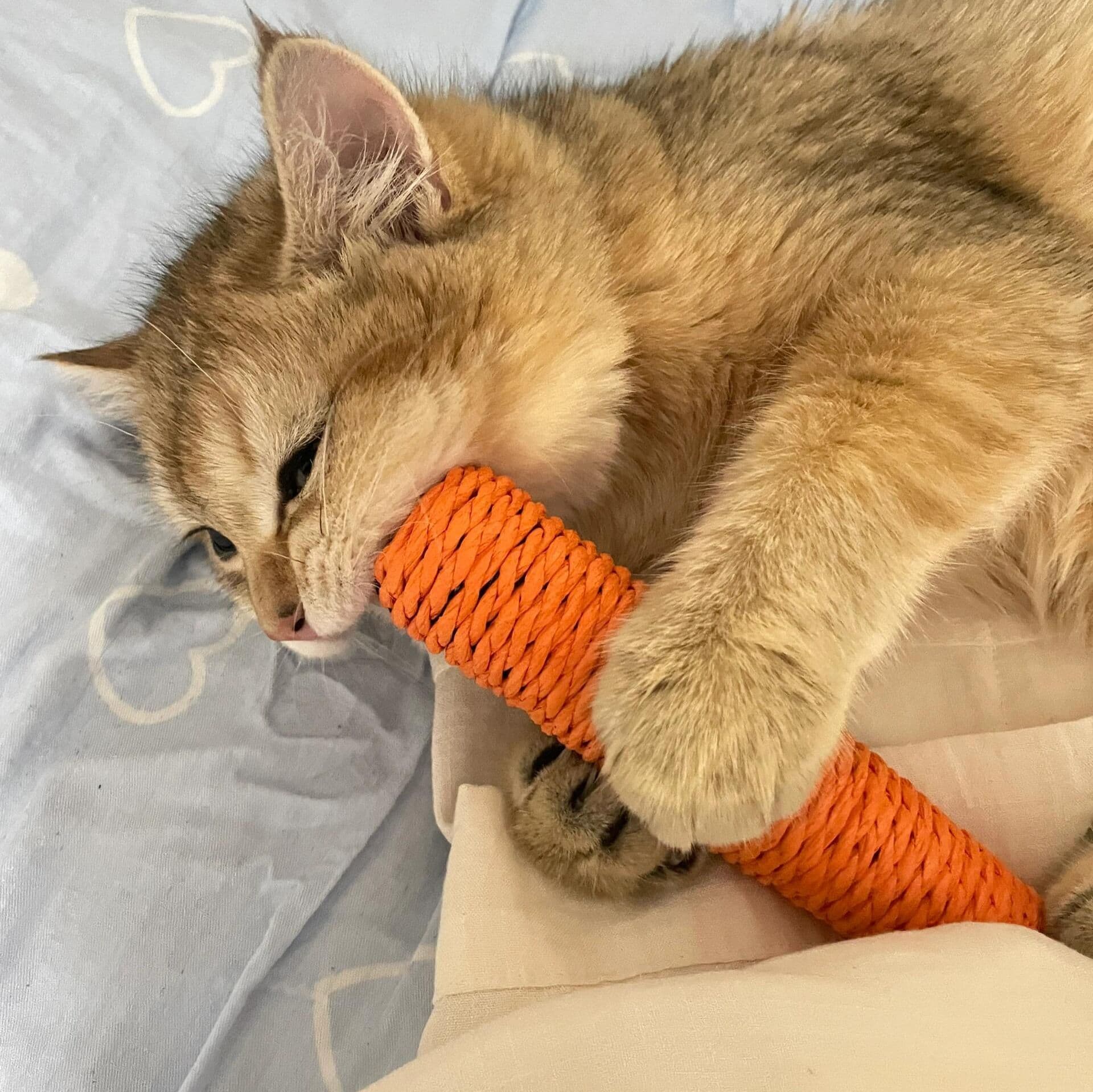 猫 おもちゃ にんじんの誘惑 猫じゃらし