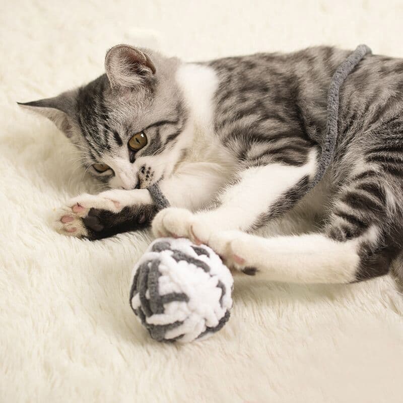 猫 おもちゃ もちもちまんまる毛糸玉の猫じゃらし