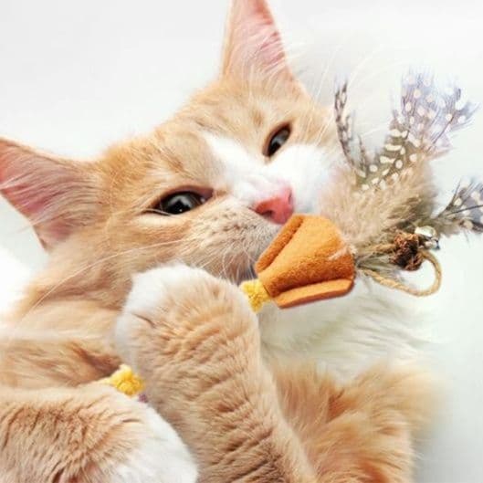 猫 おもちゃ もふもふ羽根付き歯磨き猫じゃらし