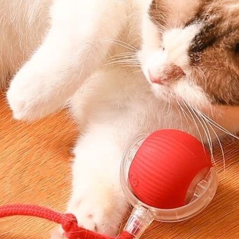 猫 おもちゃ 自動回転式ボール型猫じゃらし