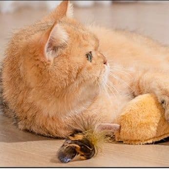 猫 おもちゃ リモコン操作式 ネズミ型猫じゃらし