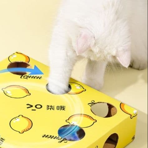 猫 おもちゃ もぐもぐボックス猫じゃらし遊び
