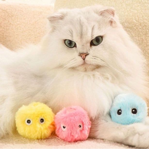 猫 おもちゃ もふもふ音楽隊のおきあがりこぼし猫じゃらし