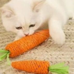 猫 おもちゃ にんじん型歯みがき猫じゃらし