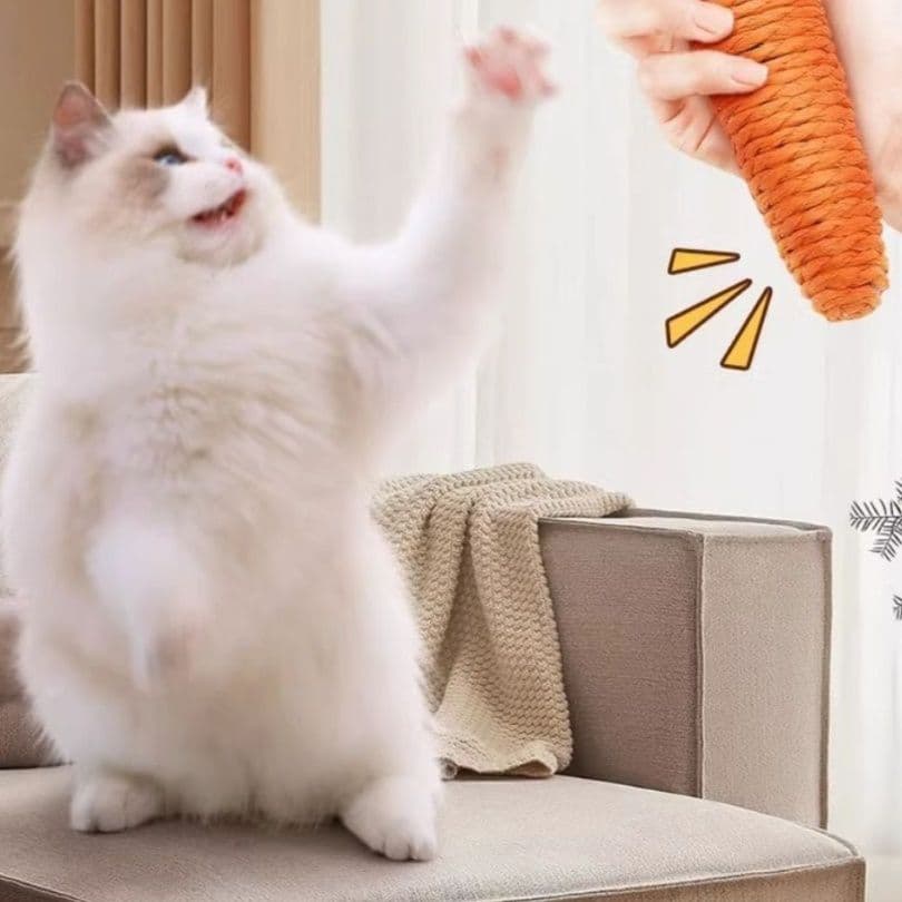 猫 おもちゃ にんじん型歯みがき猫じゃらし