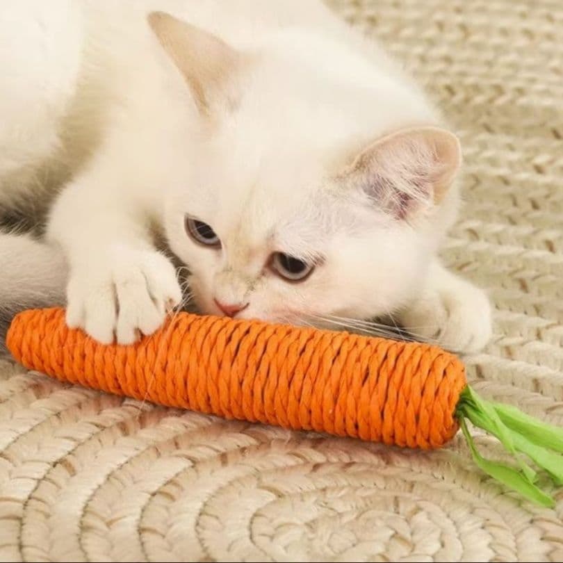 猫 おもちゃ にんじん型歯みがき猫じゃらし