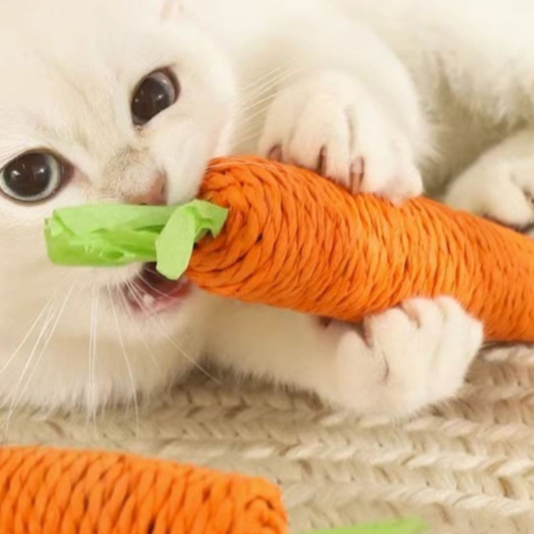 猫 おもちゃ にんじん型歯みがき猫じゃらし