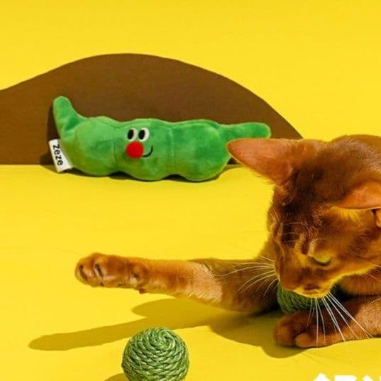 猫 おもちゃ 毛糸玉とまめちゃん猫じゃらし