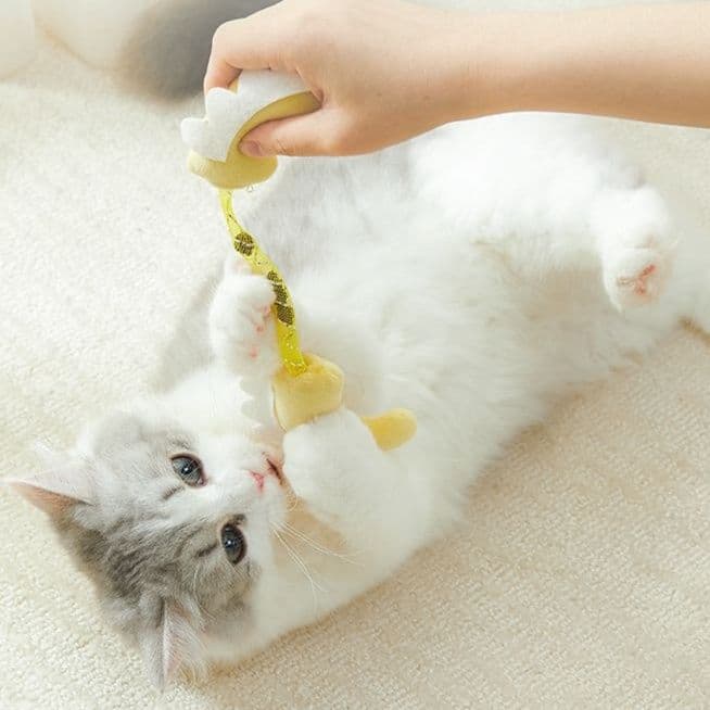 猫 おもちゃ まんまる猫じゃらし 虫嚢果入り