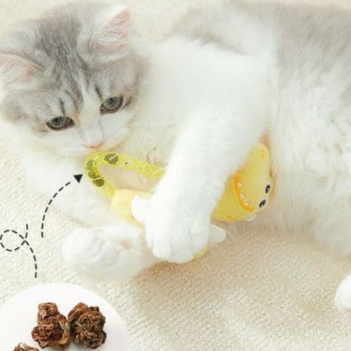 猫 おもちゃ まんまる猫じゃらし 虫嚢果入り
