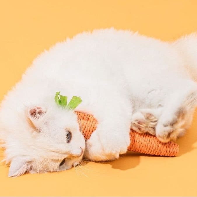 猫 おもちゃ にんじんさんのらくらく猫じゃらし