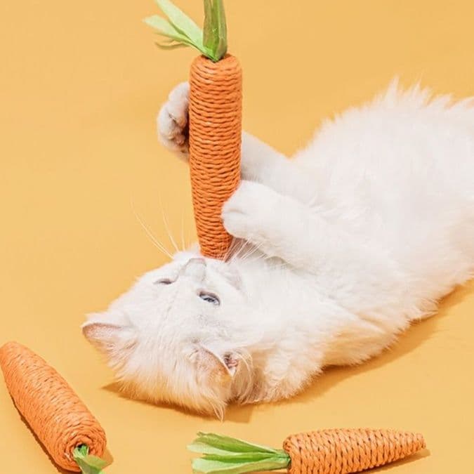 猫 おもちゃ にんじんさんのらくらく猫じゃらし