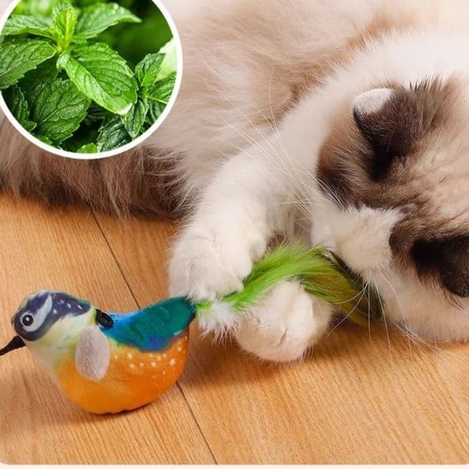 猫 おもちゃ 鳴き声付き小鳥の猫じゃらし
