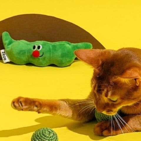 猫 おもちゃ もちもちまめ猫じゃらしセット