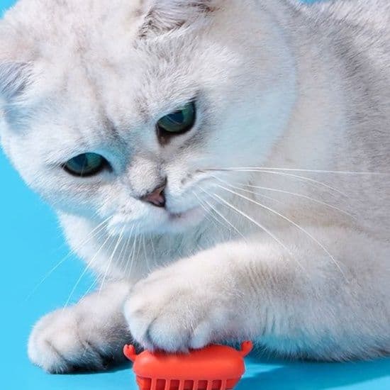 猫 おもちゃ むにむに虫型 猫じゃらし