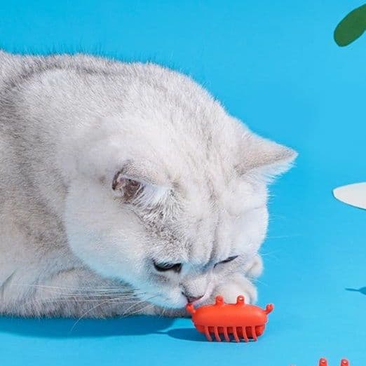 猫 おもちゃ むにむに虫型 猫じゃらし