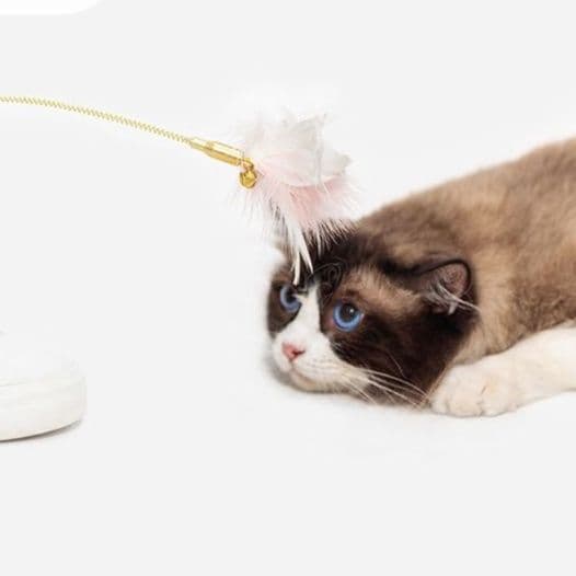 猫 おもちゃ ふわもこキャットワンド猫じゃらし