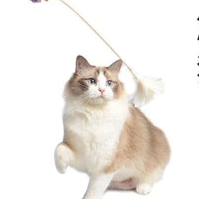 猫 おもちゃ ふわもこキャットワンド猫じゃらし