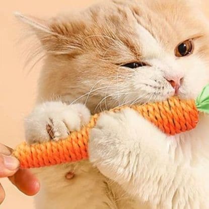 猫 おもちゃ にんじんシリーズ 猫じゃらし 歯磨きおもちゃ