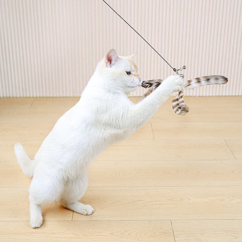 猫 おもちゃ 羽根くるくる遊び猫じゃらし
