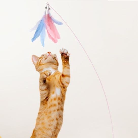 猫 おもちゃ 羽根が舞う猫じゃらしスティック