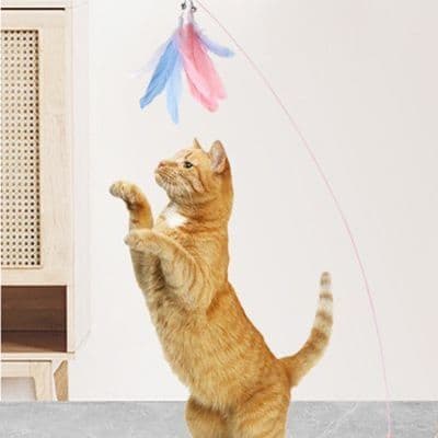 猫 おもちゃ 羽根が舞う猫じゃらしスティック