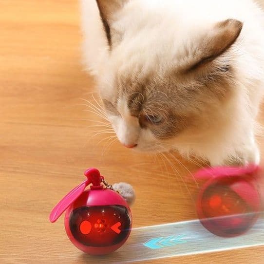 猫 おもちゃ 光る玉遊び 猫の知育運動玩具