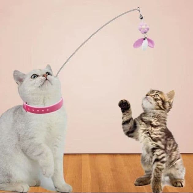 猫 おもちゃ 頭部交換式 首輪付き猫じゃらし