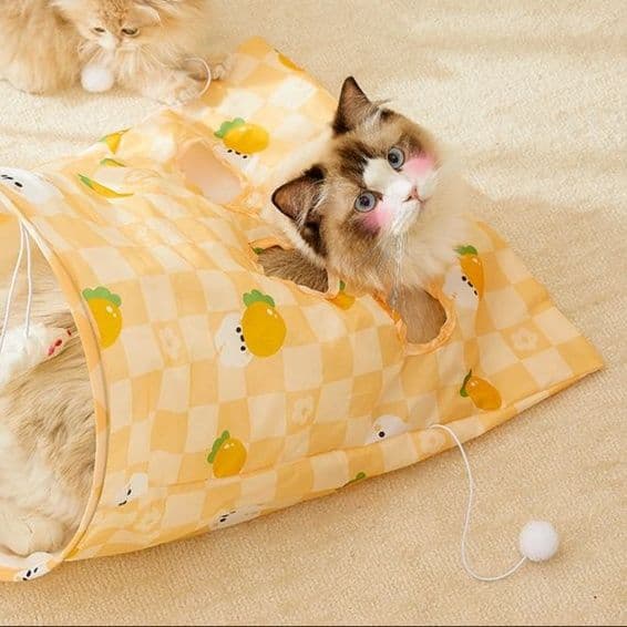 猫 おもちゃ 穴あき袋で遊ぼう！もぐりん猫じゃらし