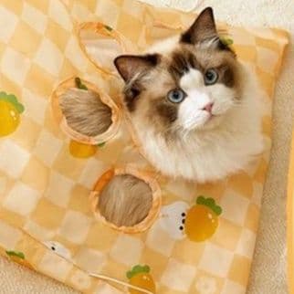 猫 おもちゃ 穴あき袋で遊ぼう！もぐりん猫じゃらし