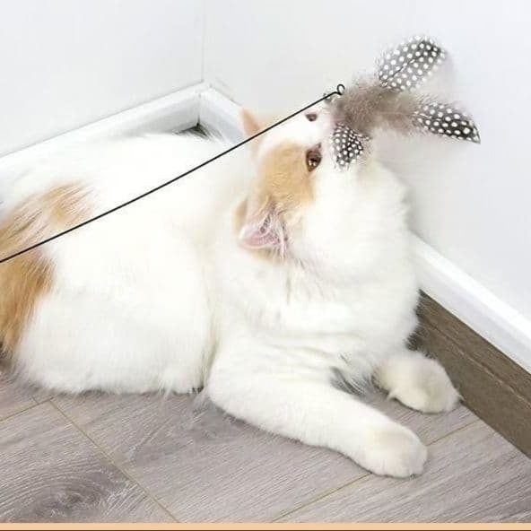猫 おもちゃ 天然羽根の優雅な猫じゃらし