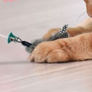 猫 おもちゃ きのこ型ふわふわじゃらし