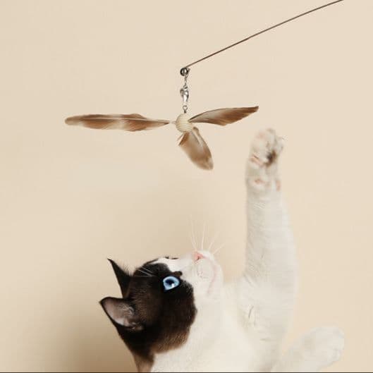 猫 おもちゃ 天然羽根の舞い猫じゃらし棒