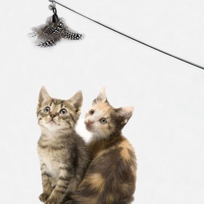 猫 おもちゃ 天然羽根の贅沢じゃらし