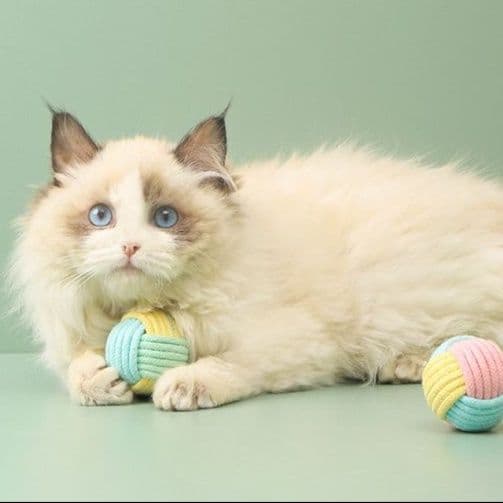 猫 おもちゃ もふもふ紐巻き玉 猫じゃらし