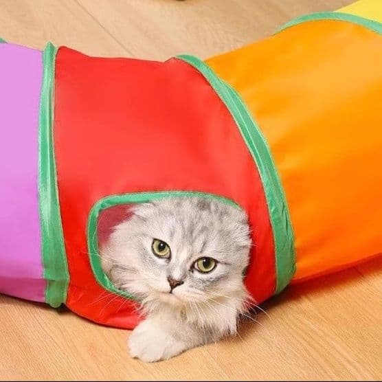 猫 おもちゃ コンパクト収納 トンネル型 猫じゃらし