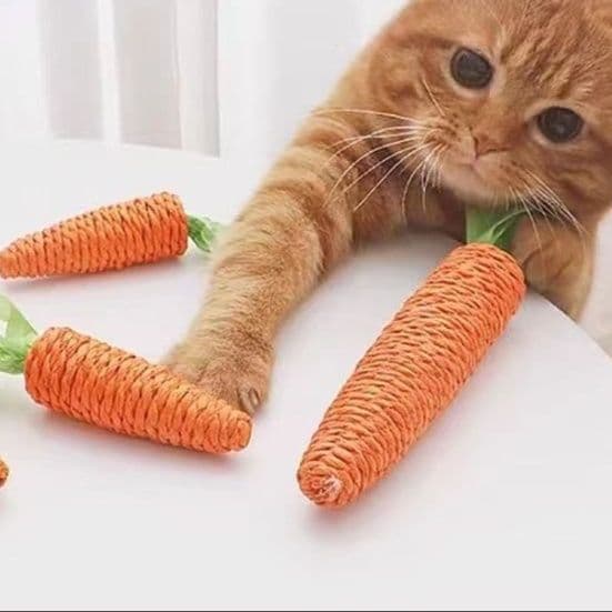 猫 おもちゃ にんじんスティック・歯みがきじゃらし