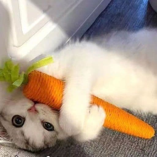 猫 おもちゃ にんじんスティック・歯みがきじゃらし
