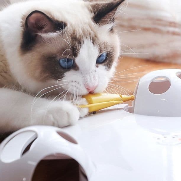 猫 おもちゃ ぐるぐるマウス 回転盤 猫じゃらし