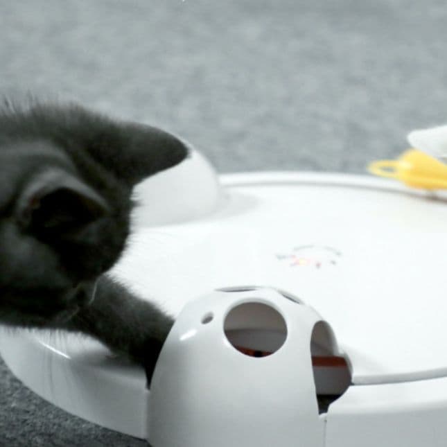 猫 おもちゃ ぐるぐるマウス 回転盤 猫じゃらし