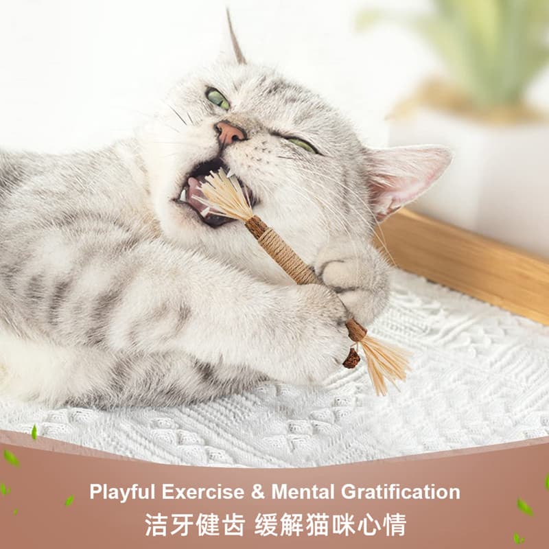 猫 おもちゃ 天然またたび木枝の歯磨き遊びスティック