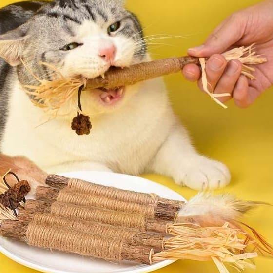 猫 おもちゃ 猫用マタタビ歯磨きスティック