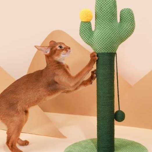 猫 おもちゃ サボテン型キャットタワー 爪とぎ付き猫じゃらし