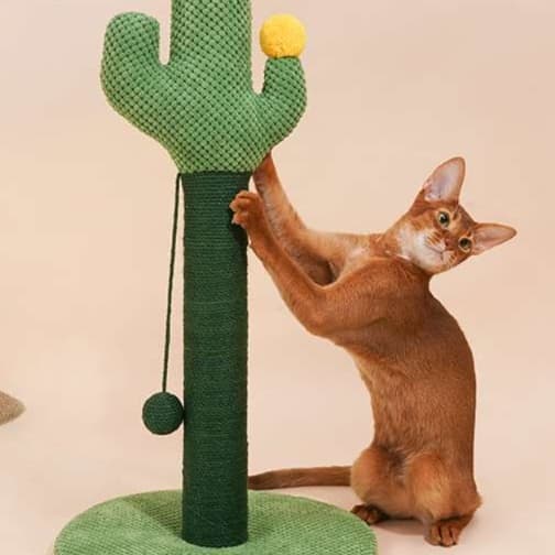 猫 おもちゃ サボテン型キャットタワー 爪とぎ付き猫じゃらし