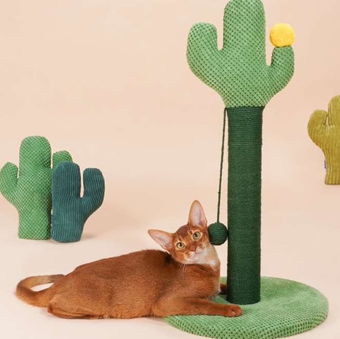 猫 おもちゃ サボテン型キャットタワー 爪とぎ付き猫じゃらし