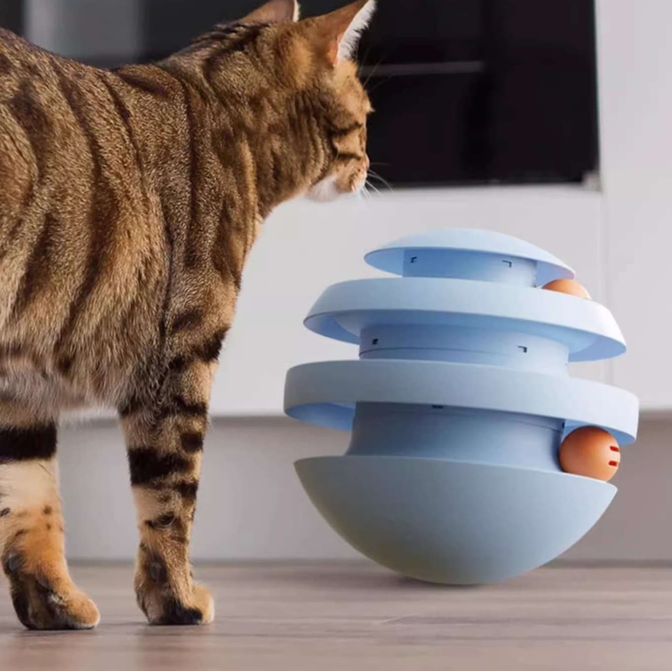 猫 おもちゃ うずまき迷路ボール 猫じゃらし